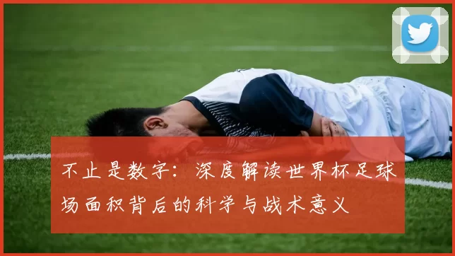 不止是数字:深度解读世界杯足球场面积背后的科学与战术意义