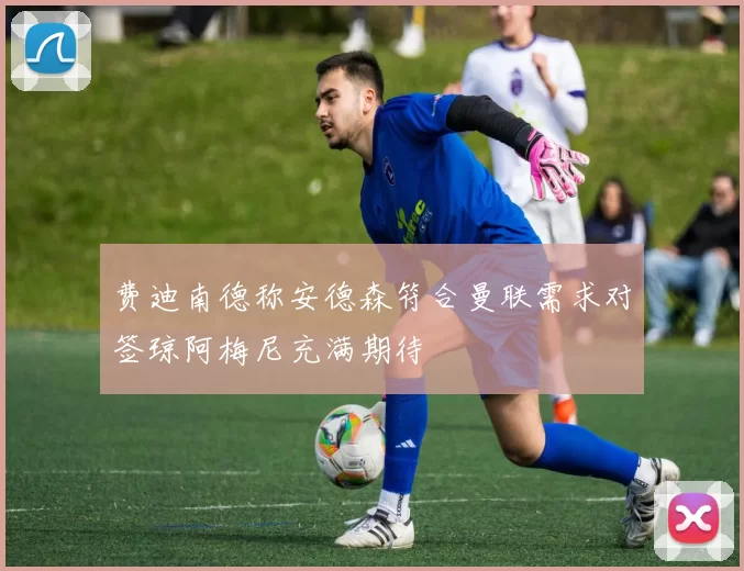 费迪南德称安德森符合曼联需求对签琼阿梅尼充满期待