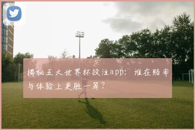 揭秘五大世界杯投注app:谁在赔率与体验上更胜一筹?