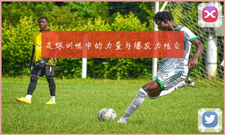 足球训练中的力量与爆发力结合