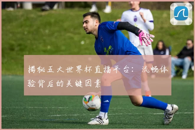 揭秘五大世界杯直播平台：流畅体验背后的关键因素