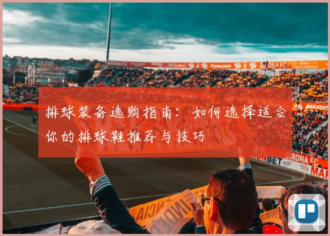 排球装备选购指南:如何选择适合你的排球鞋推荐与技巧