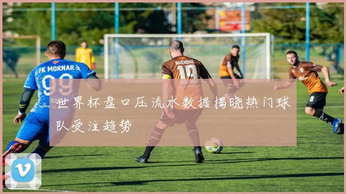世界杯盘口压流水数据揭晓热门球队受注趋势