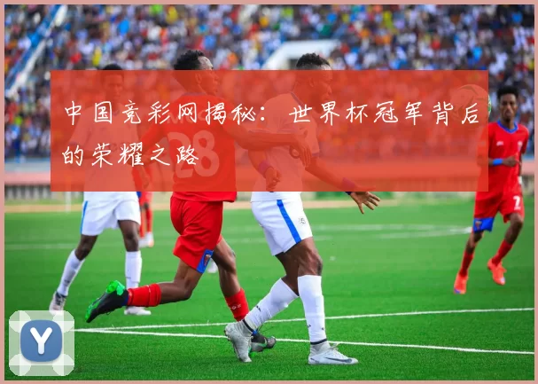 中国竞彩网揭秘:世界杯冠军背后的荣耀之路