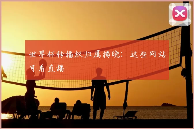 世界杯转播权归属揭晓：这些网站可看直播