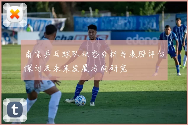 南京乒乓球队状态分析与表现评估探讨及未来发展方向研究
