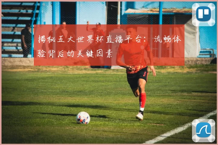 揭秘五大世界杯直播平台：流畅体验背后的关键因素