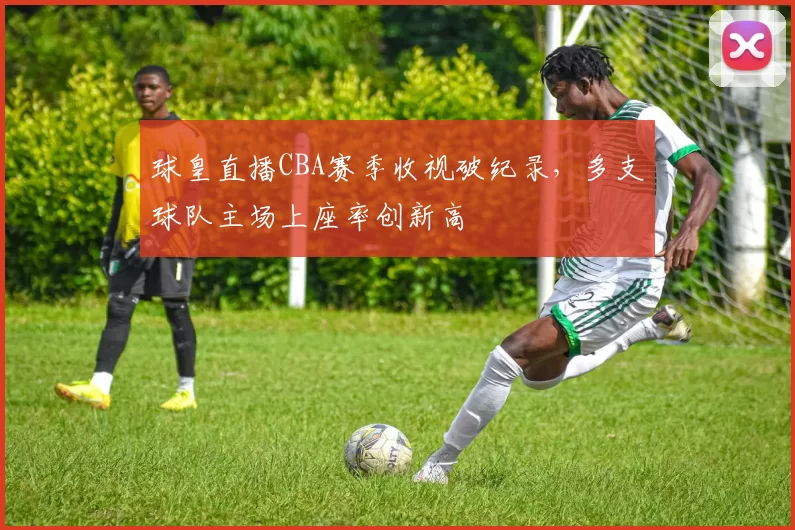 球皇直播CBA赛季收视破纪录,多支球队主场上座率创新高