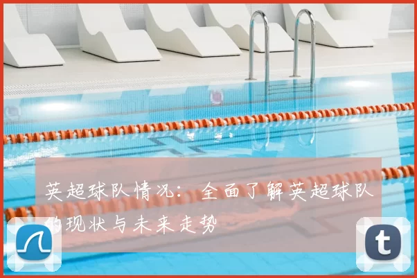 英超球队情况:全面了解英超球队的现状与未来走势