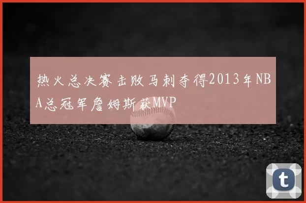 热火总决赛击败马刺夺得2013年NBA总冠军詹姆斯获MVP