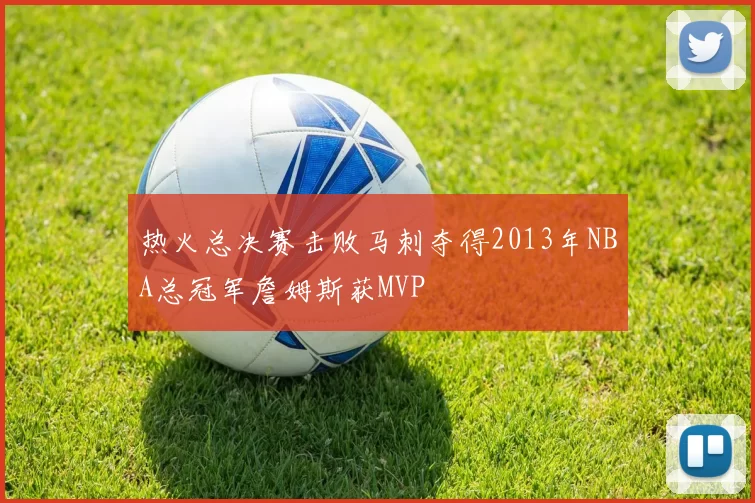 热火总决赛击败马刺夺得2013年NBA总冠军詹姆斯获MVP