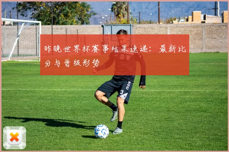 昨晚世界杯赛事结果速递:最新比分与晋级形势