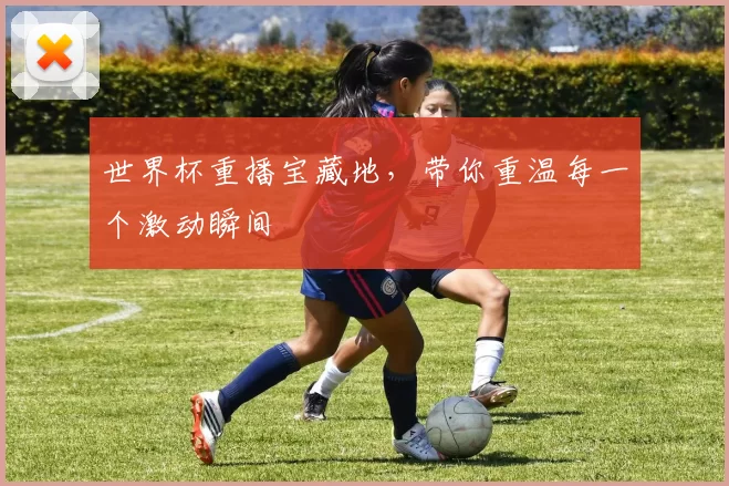 世界杯重播宝藏地,带你重温每一个激动瞬间