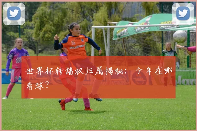 世界杯转播权归属揭秘：今年在哪看球？