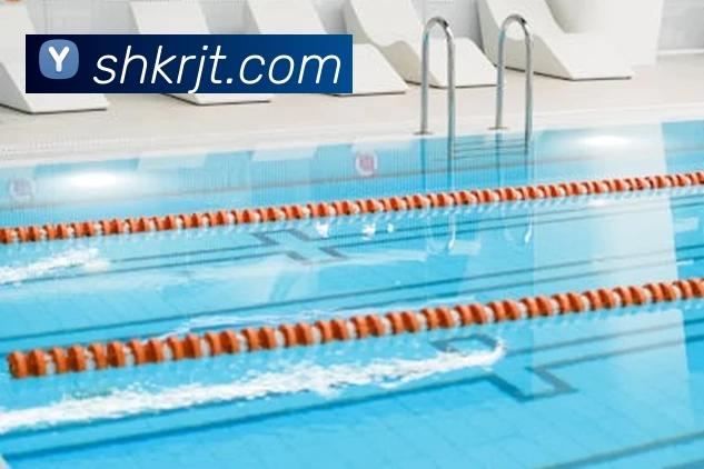 多媒体互动体验